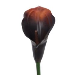 CALLA GUMA 72 CM ANA1013 BURN BROWN