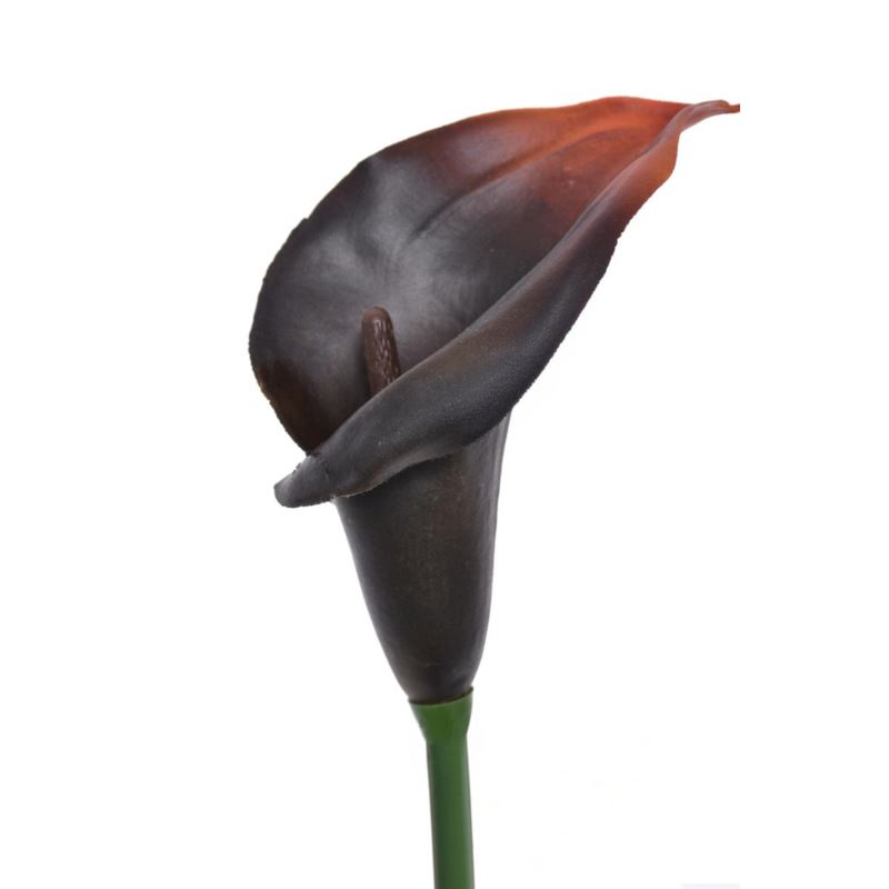 CALLA GUMA 72 CM ANA1013 BURN BROWN