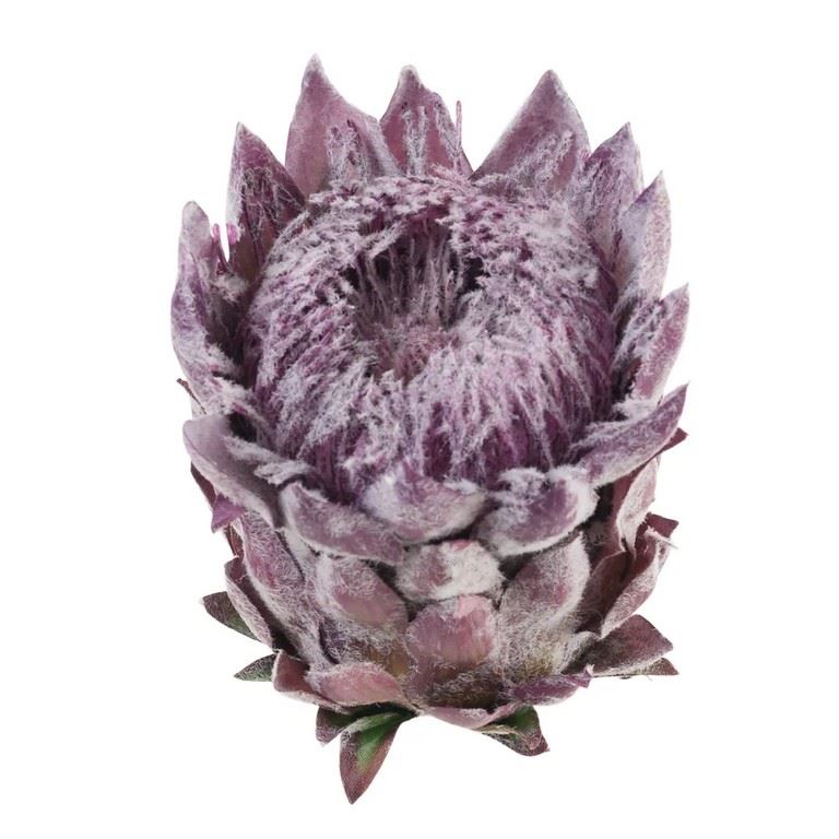 PROTEA - KARCZOCH WYS.14CM ŚR. 10CM PURPLE