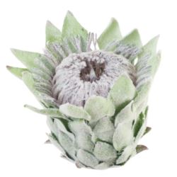 PROTEA - KARCZOCH WYS.14CM ŚR. 10CM GREEN