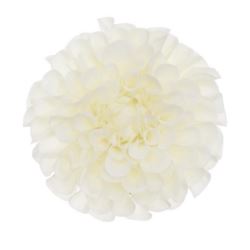 DALIA GŁÓWKA 10CM TAJ1026 CREAM
