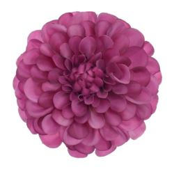 DALIA GŁÓWKA 10CM TAJ1026 FUCHSIA