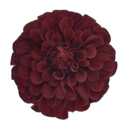 DALIA GŁÓWKA 10CM TAJ1026 BURGUNDY