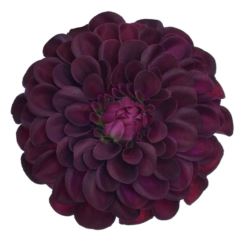 DALIA GŁÓWKA 10CM TAJ1026 DR BEAUTY