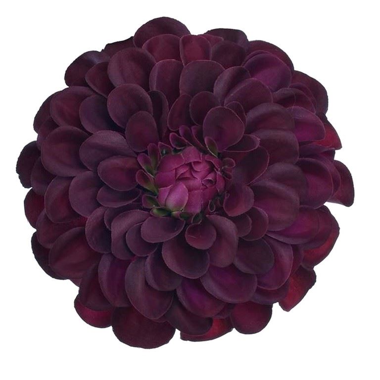 DALIA GŁÓWKA 10CM TAJ1026 DR BEAUTY