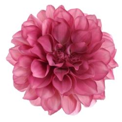 DALIA GŁOWA 16CM TAJ1027 PINK