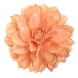 DALIA GŁOWA 16CM TAJ1027 TEA