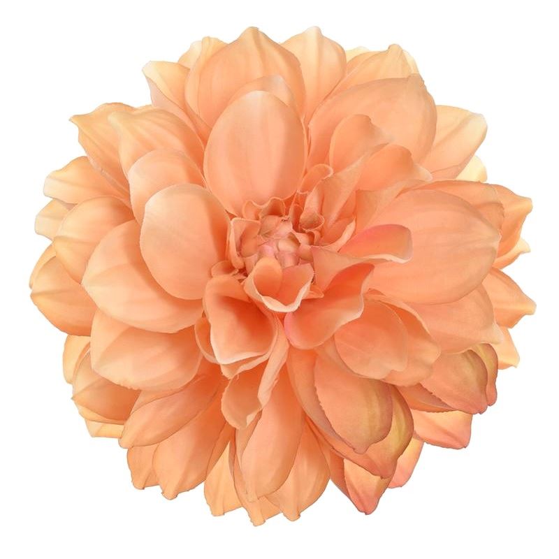 DALIA GŁOWA 16CM TAJ1027 TEA