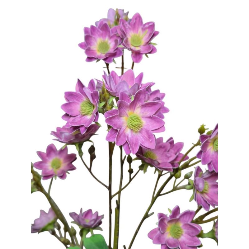 MARGARETKA JESIENNA 80CM PURPLE