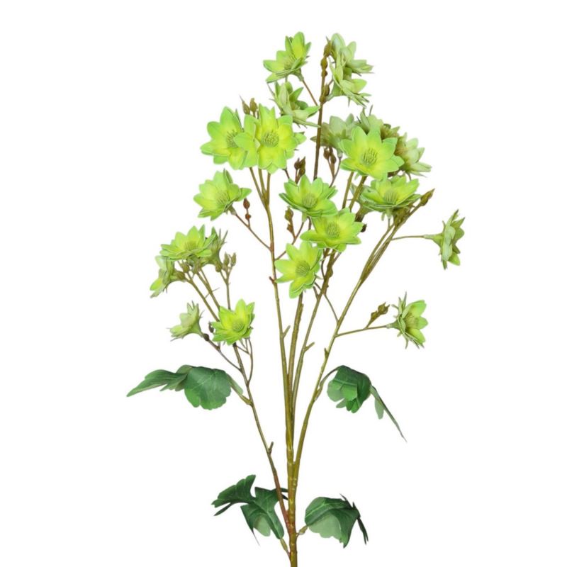 MARGARETKA JESIENNA 80CM LT GREEN