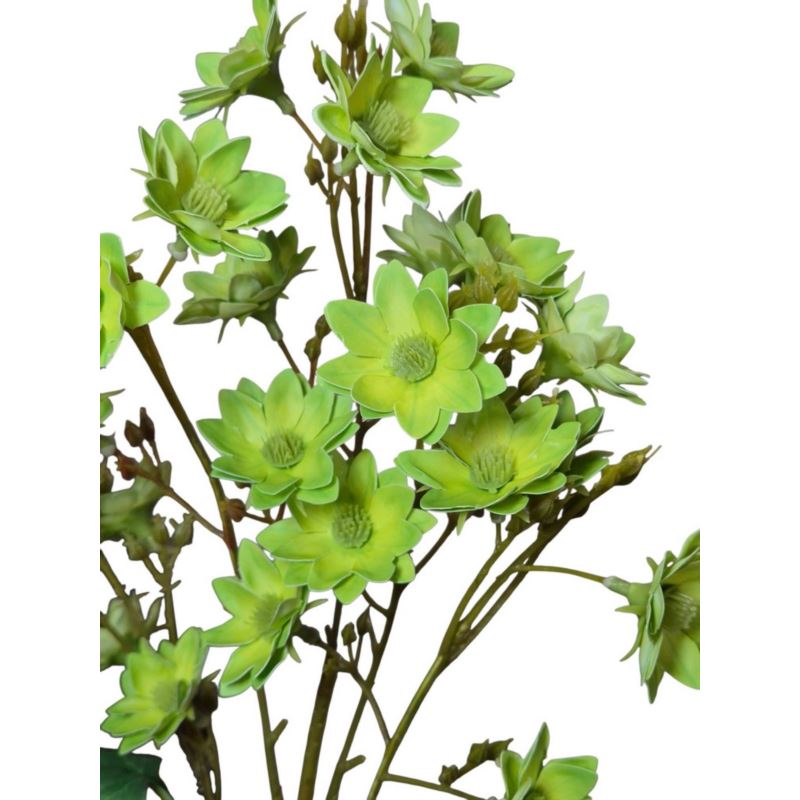MARGARETKA JESIENNA 80CM LT GREEN