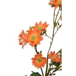MARGARETKA JESIENNA 80CM ORANGE