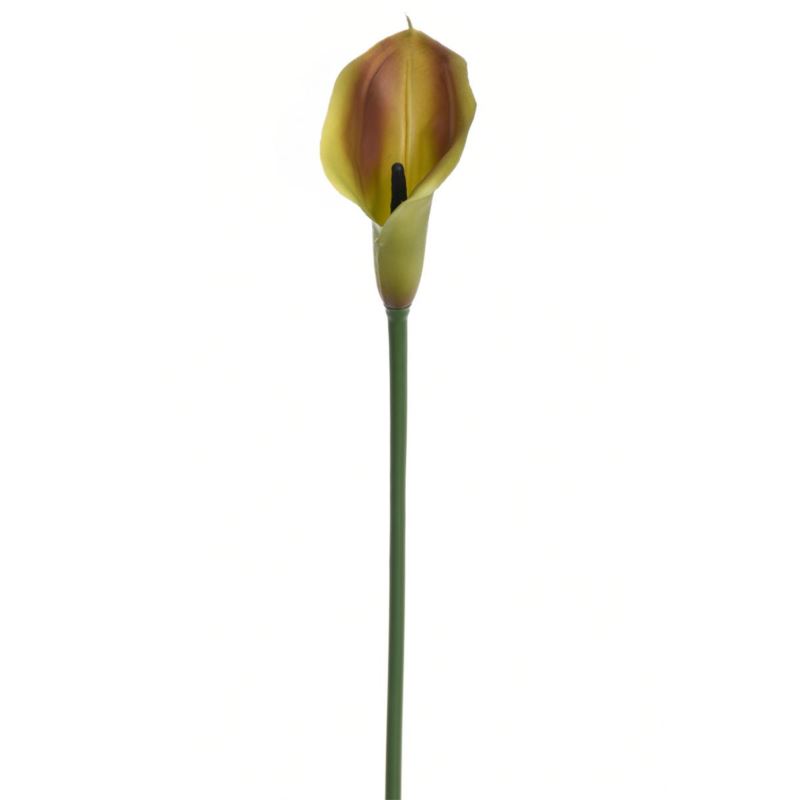 CALLA GUMA 72 CM  ANA1013 OLIVE