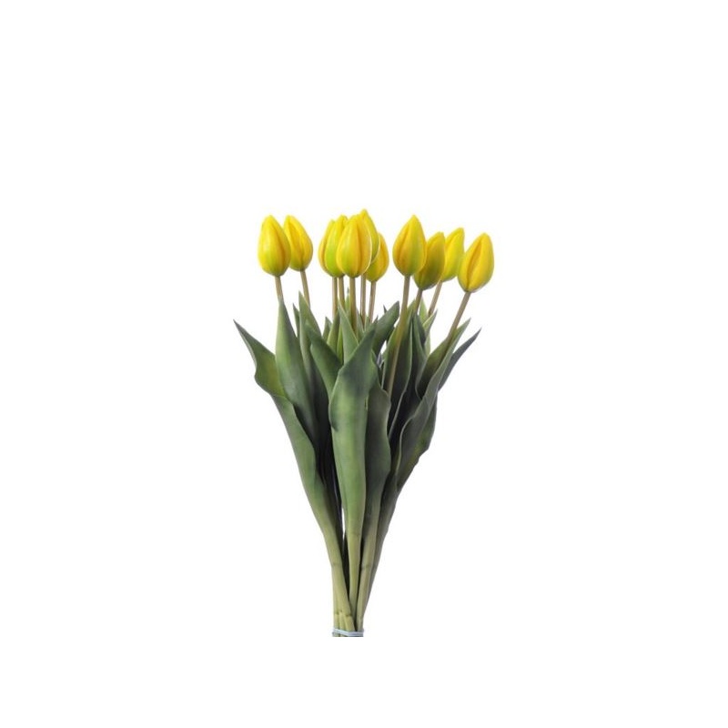 TULIPAN POJEDYŃCZY GUMOWANY