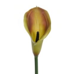 CALLA GUMA 72 CM  ANA1013 OLIVE