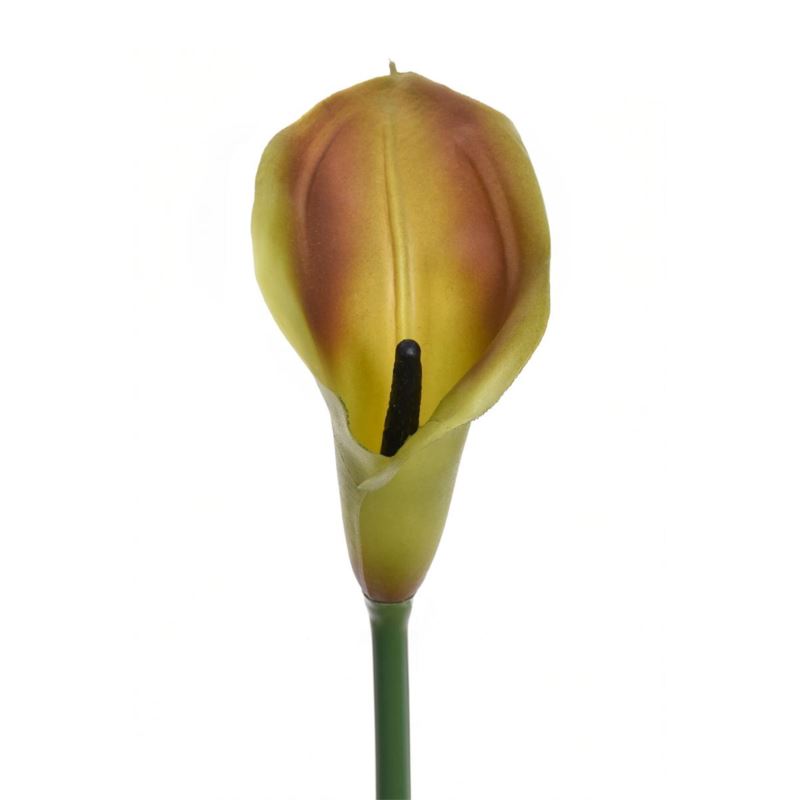 CALLA GUMA 72 CM  ANA1013 OLIVE