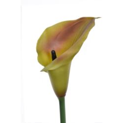 CALLA GUMA 72 CM  ANA1013 OLIVE