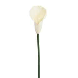 CALLA GUMA 72 CM  ANA1013 6 KOLORÓW  MIX1