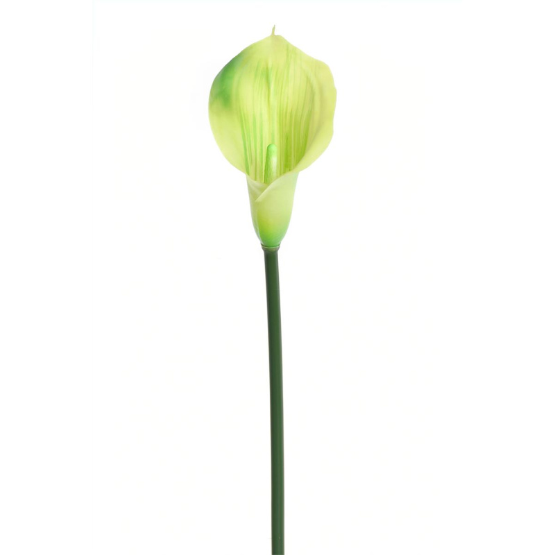 CALLA GUMA 72 CM  ANA1013 6 KOLORÓW  MIX1