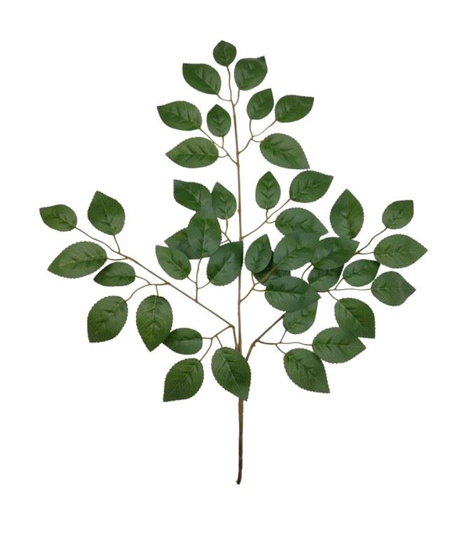 LIŚĆ RÓŻANY - GAŁĄZKA 60CM (42 LVS) GREEN