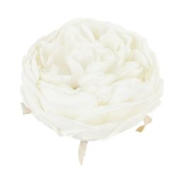 PEONIA GŁOWA VINTAGE 9CM OLD CREAM