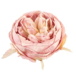 PEONIA GŁOWA VINTAGE 9CM OLD POWDER PINK GREEN