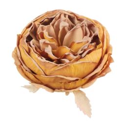 PEONIA GŁOWA VINTAGE 9CM OLD MUSTARD BROWN