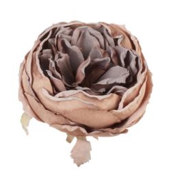 PEONIA GŁOWA VINTAGE 9CM OLD CAPPUCINO BROWN