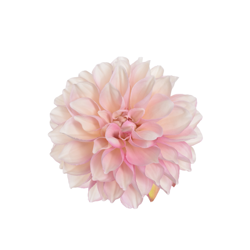 DALIA GŁOWA 16CM TAJ1027 CREAM LT PINK
