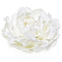 PEONIA GŁOWA 17CM ART060 WHITE GREEN