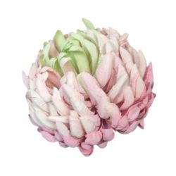 CHRYZANTEMA 12CM KCH30 TF062 GREEN LT.PINK