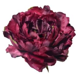 PEONIA GŁOWA 17CM ART060 BURGUNDY EDGE GREEN