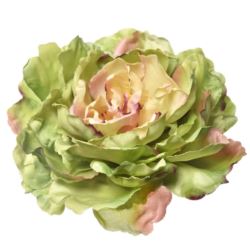 PEONIA GŁOWA 17CM ART060 GREEN EDGE BURGUNDY