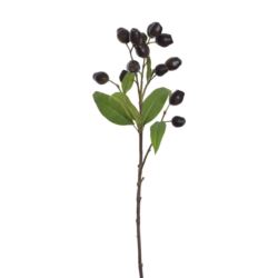 EUKALIPTUS Z OWOCAMI 66CM ECO022 BLACK OLIVE