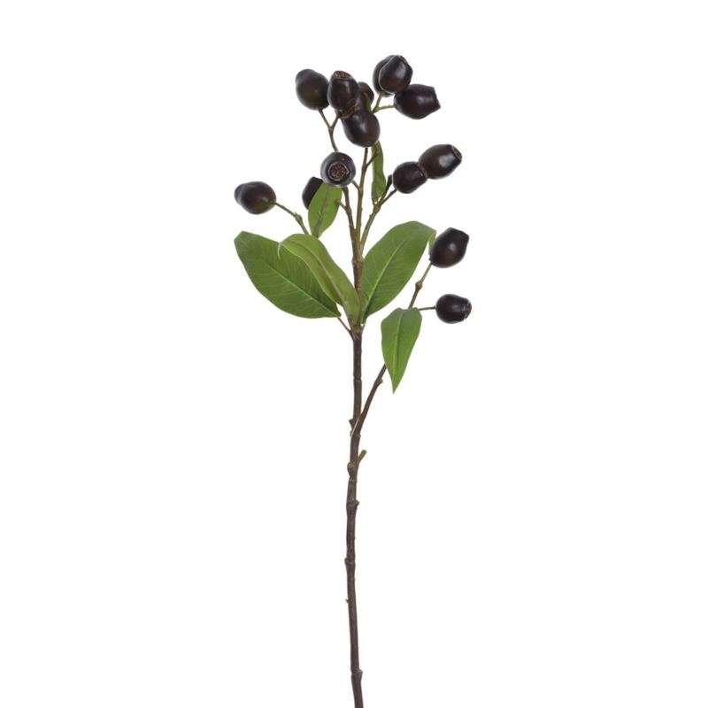 EUKALIPTUS Z OWOCAMI 66CM ECO022 BLACK OLIVE