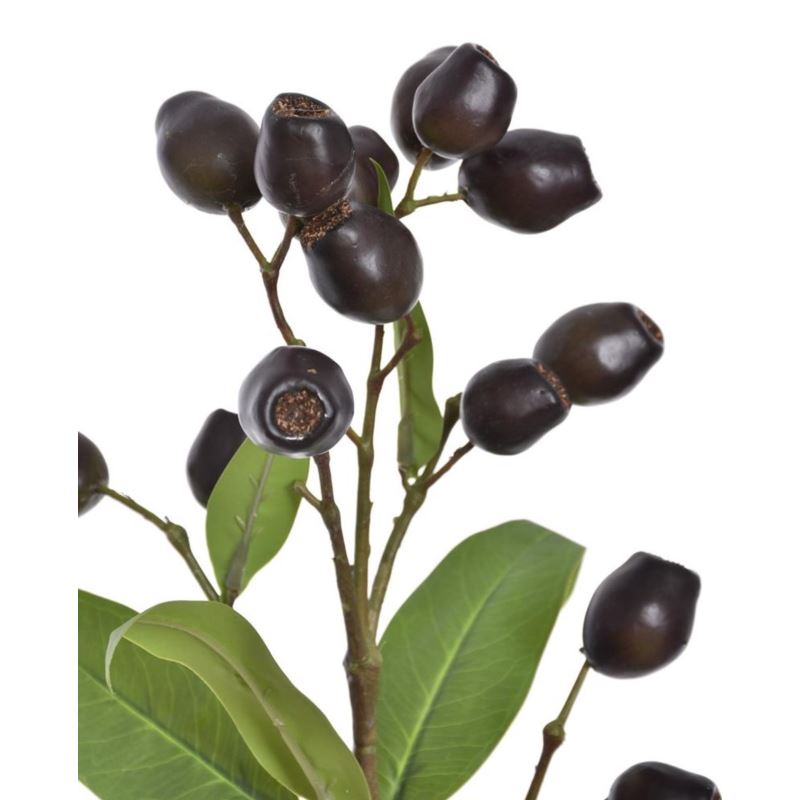 EUKALIPTUS Z OWOCAMI 66CM ECO022 BLACK OLIVE