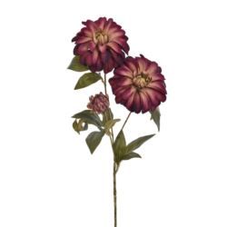 DALIA OLD – GAŁĄZK A74CM ERA3003 MIX1 4 KOLRY