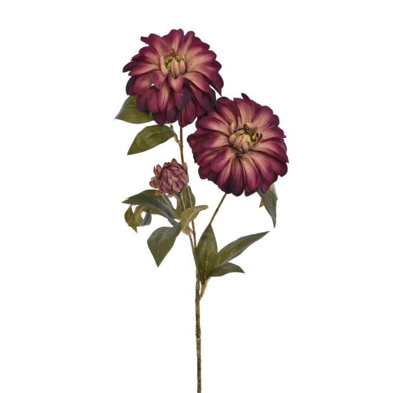 DALIA OLD – GAŁĄZK A74CM ERA3003 MIX1 4 KOLRY