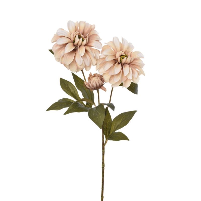 DALIA OLD – GAŁĄZK A74CM ERA3003 MIX1 4 KOLRY