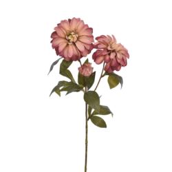 DALIA OLD – GAŁĄZK A74CM ERA3003 MIX1 4 KOLRY
