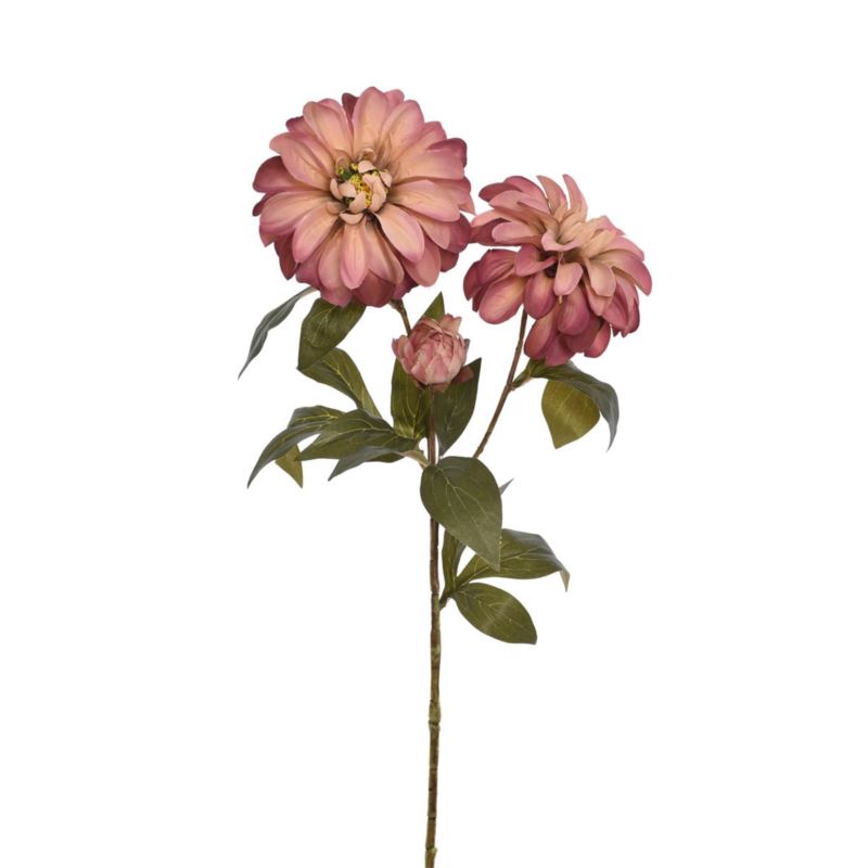DALIA OLD – GAŁĄZK A74CM ERA3003 MIX1 4 KOLRY