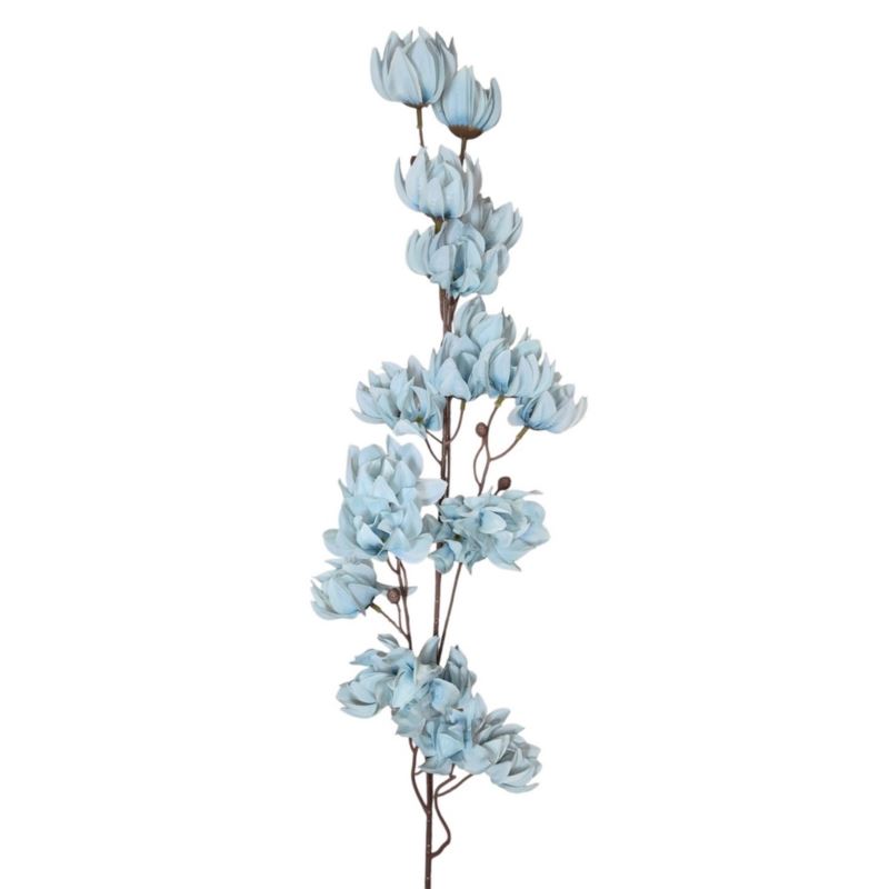 MAGNOLIA MONGOLSKA 100CM BLUE