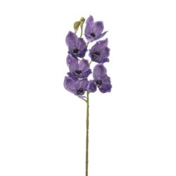 CYMBIDIUM - STORCZYK 69CM LEV016 ULTRA VIOLET