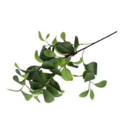 GAŁĄŻKA CYTRUSOWA LIŚĆ MANDARYNKA 90CM RT GREEN