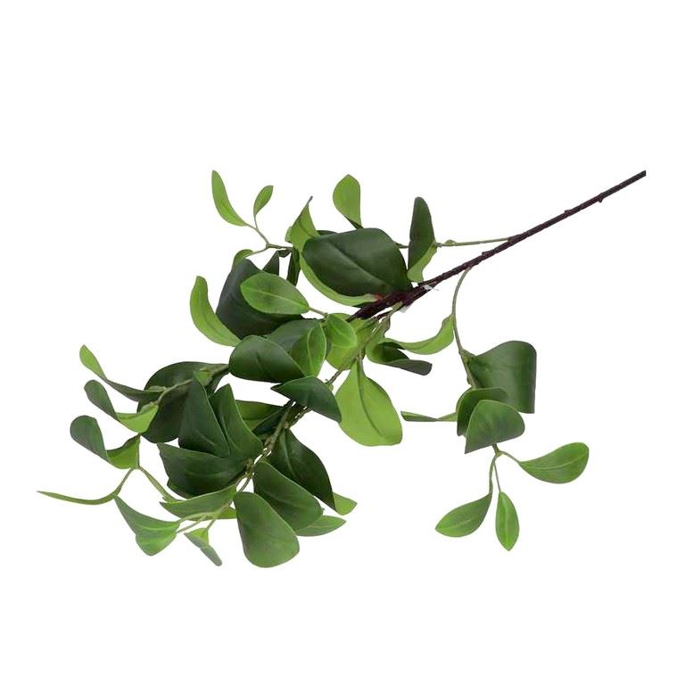 GAŁĄŻKA CYTRUSOWA LIŚĆ MANDARYNKA 90CM RT GREEN