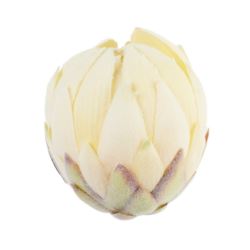 KARCHOCH- PROTEA GŁOWA WYS:12CM ŚR:11CM CREAM