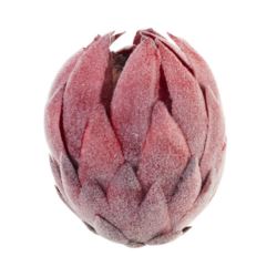 KARCHOCH- PROTEA GŁOWA WYS:12CM ŚR11CM RED BURGUND