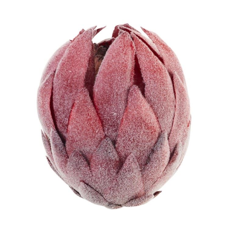 KARCHOCH- PROTEA GŁOWA WYS:12CM ŚR11CM RED BURGUND