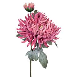 CHRYZANTEMA PŁASKA GAŁĄZKA KWIAT+PĄK 78CM MAUVE