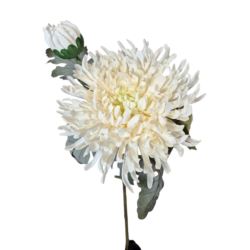 CHRYZANTEMA PŁASKA GAŁĄZKA KWIAT+PĄK 78CM WH CRM